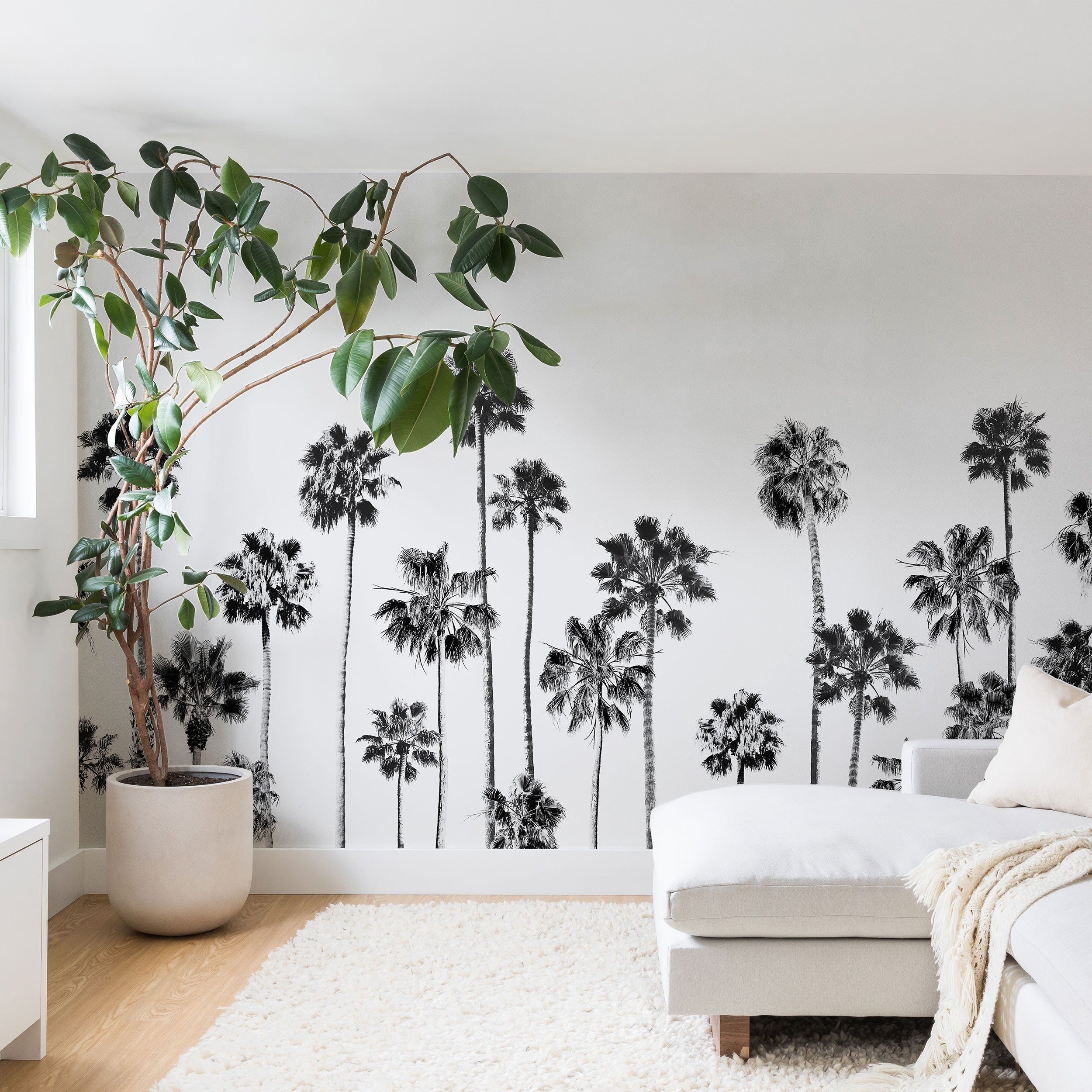Gal Design Black And White Palms Wall Mural
