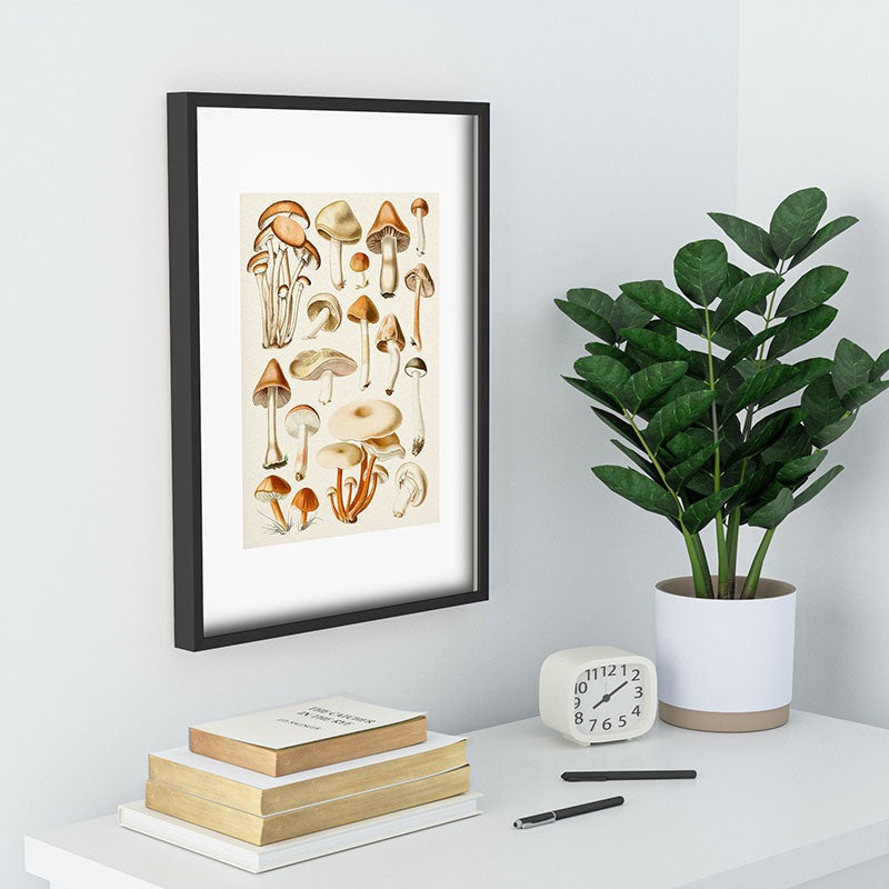 Gal Design Mushrooms Collection Recessed Framing Rectangle