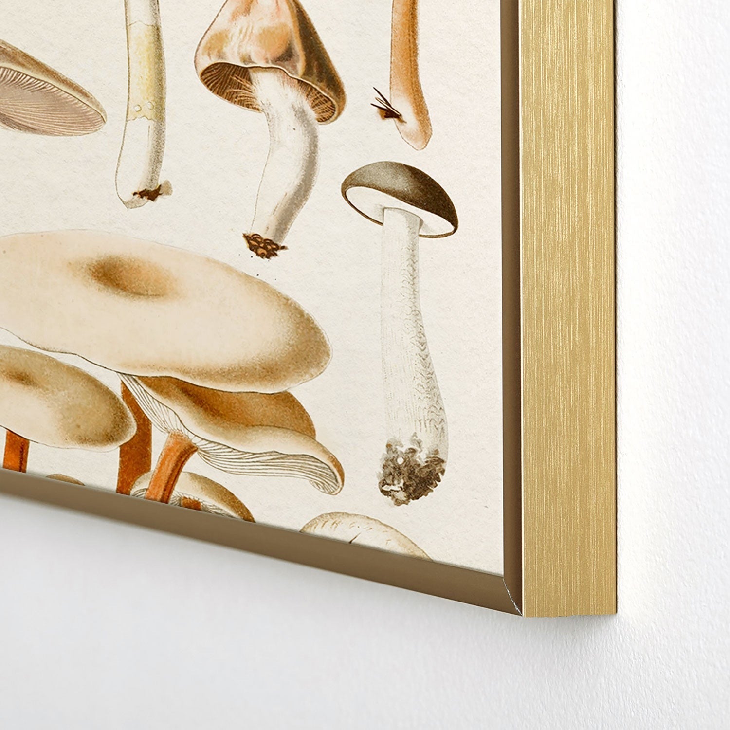Gal Design Mushrooms Collection Square Metal Framed Art Print
