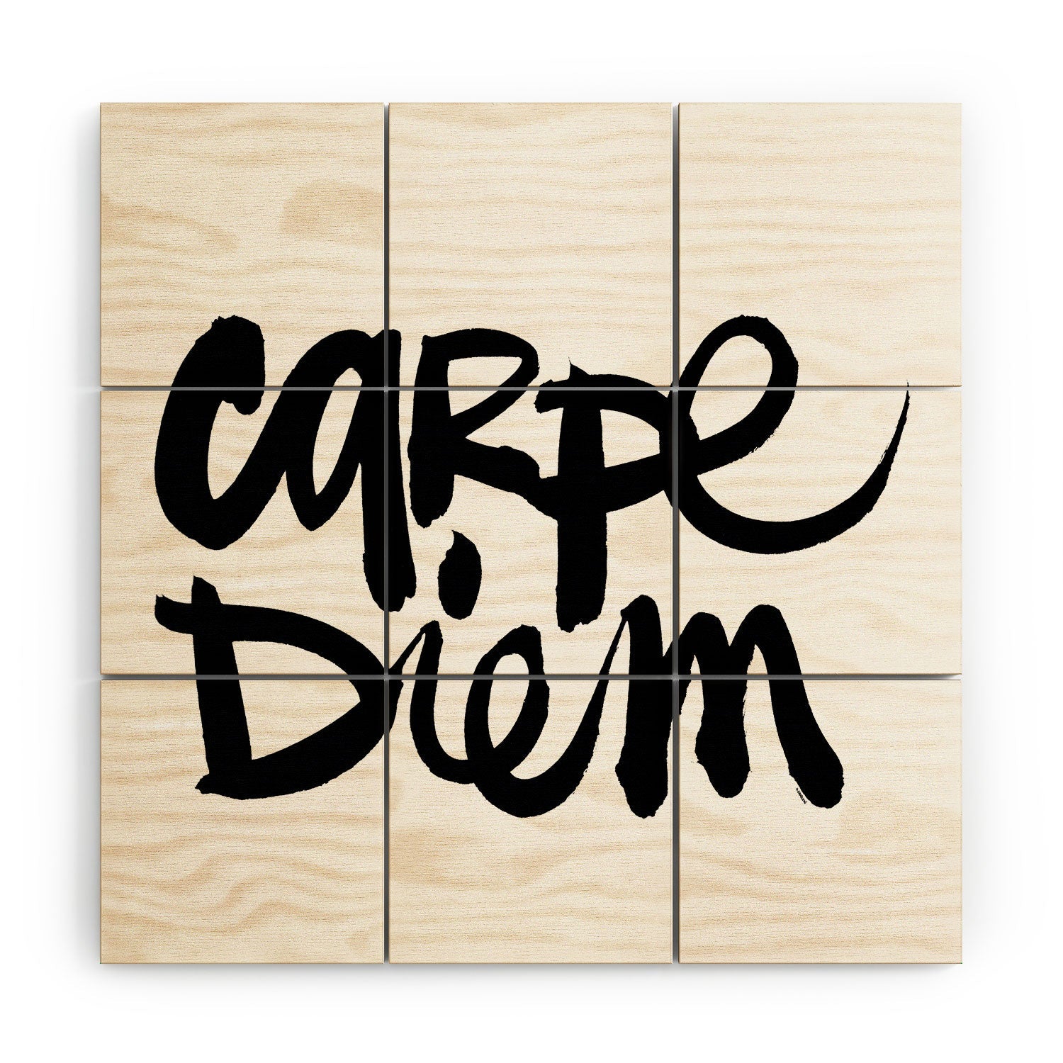 Kal Barteski Carpe Diem Wood Wall Mural