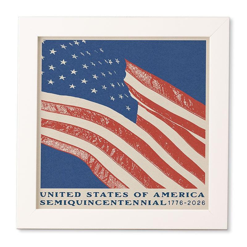 DENY Designs Stars n Stripes Semiquincentennial Framed Wall Art
