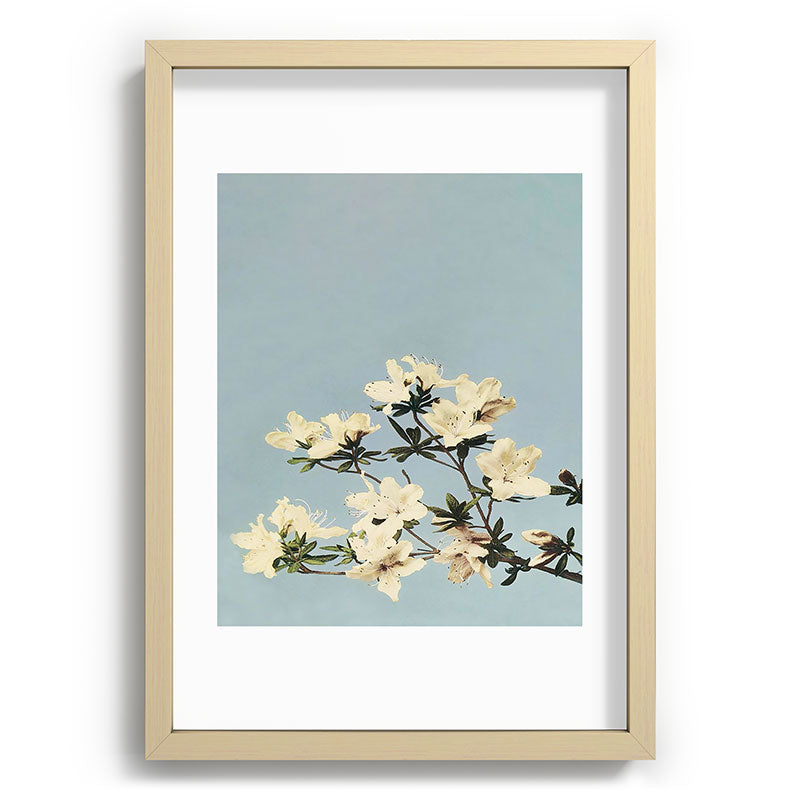 kazegami Japanese Azaleas Recessed Framing Rectangle