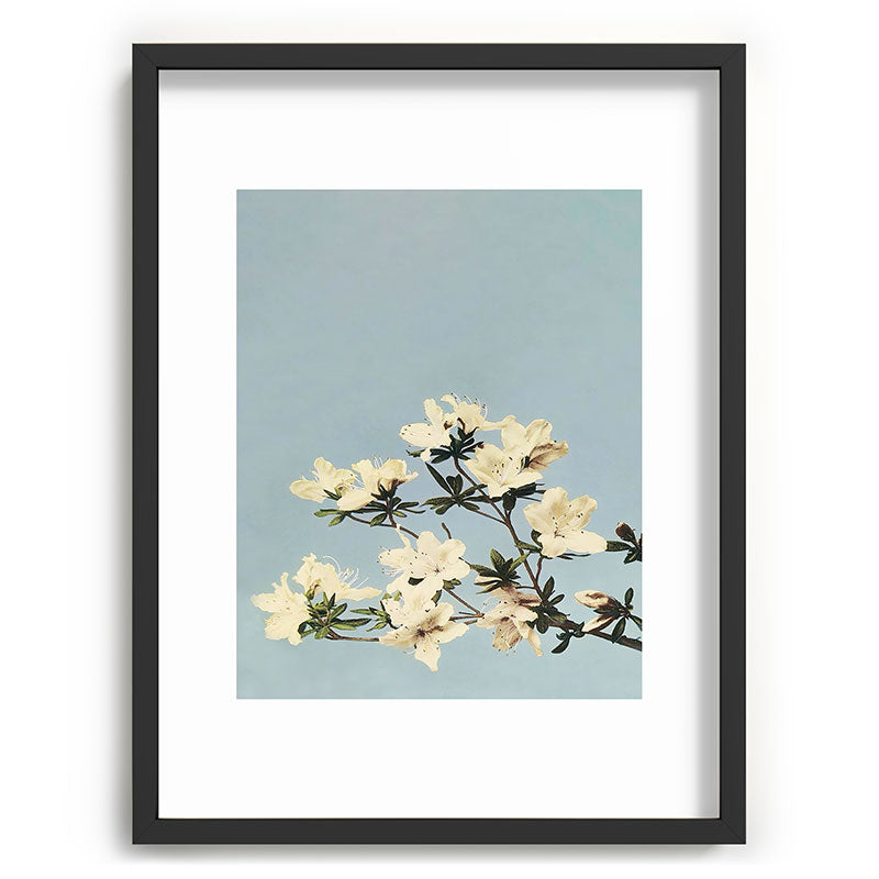 kazegami Japanese Azaleas Recessed Framing Rectangle