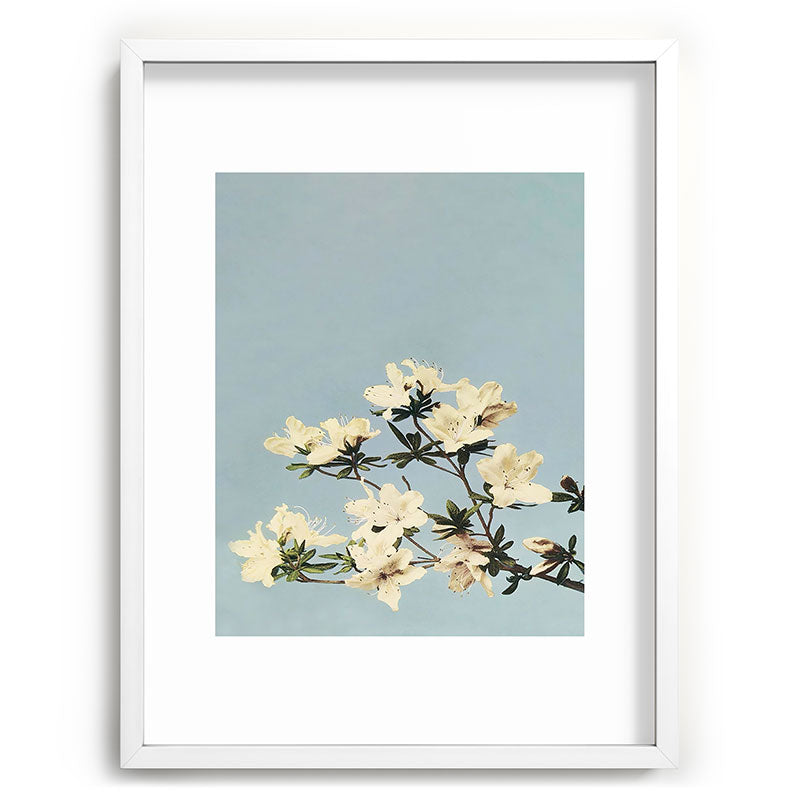 kazegami Japanese Azaleas Recessed Framing Rectangle