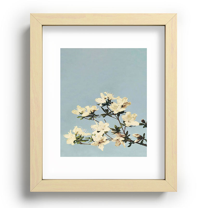 kazegami Japanese Azaleas Recessed Framing Rectangle