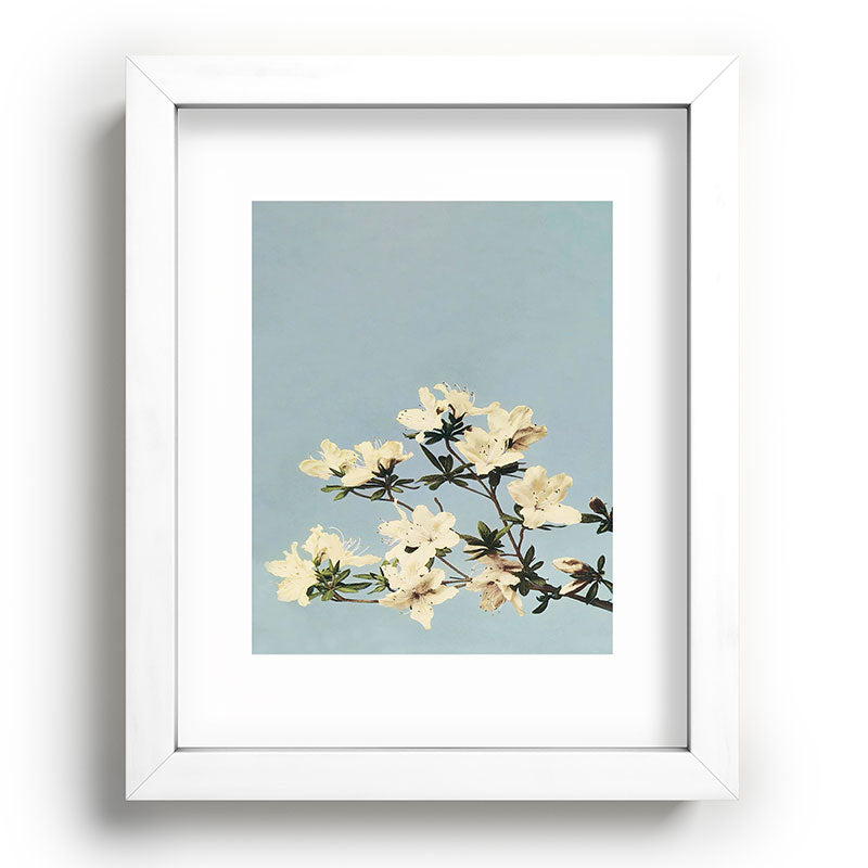 kazegami Japanese Azaleas Recessed Framing Rectangle