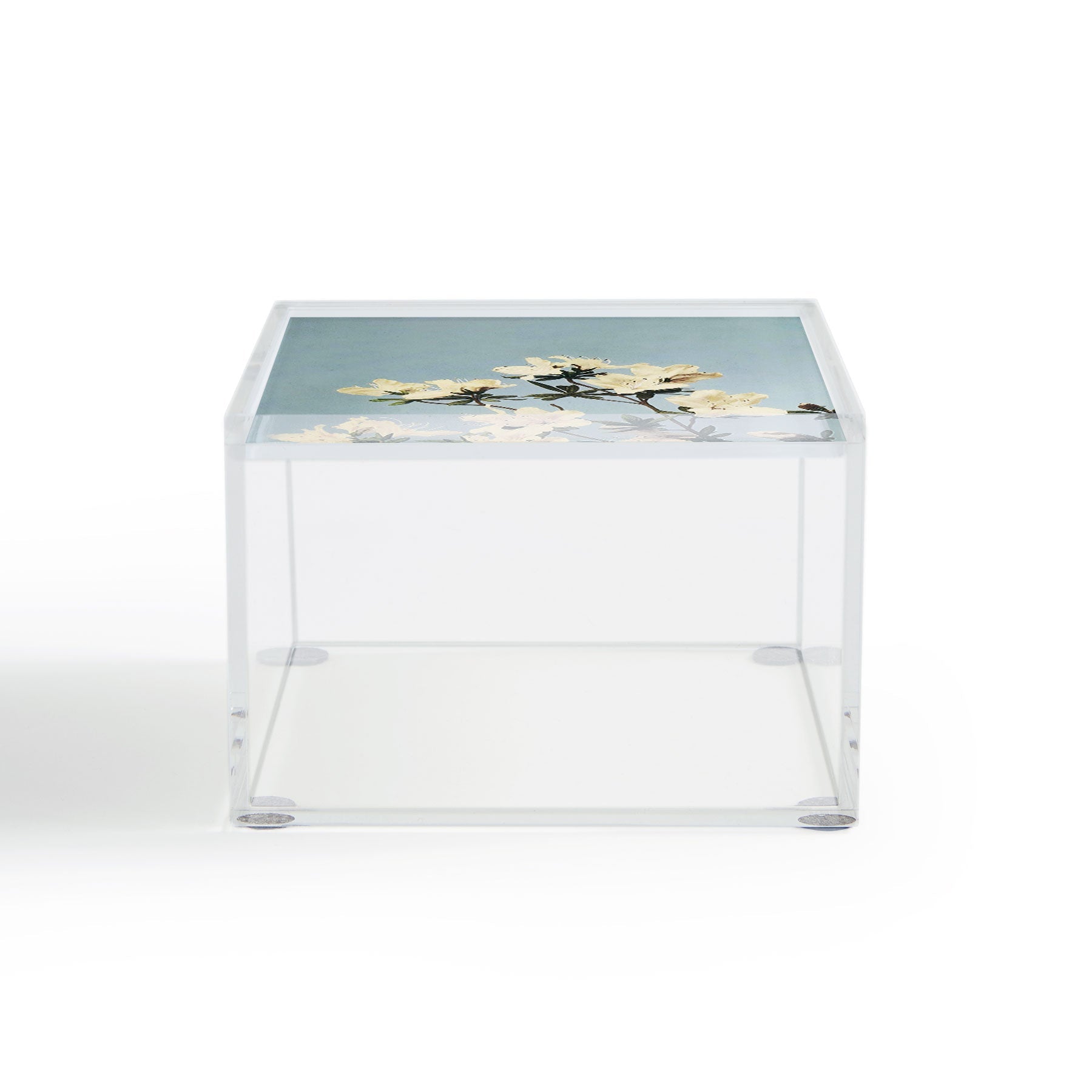 kazegami Japanese Azaleas Acrylic Box