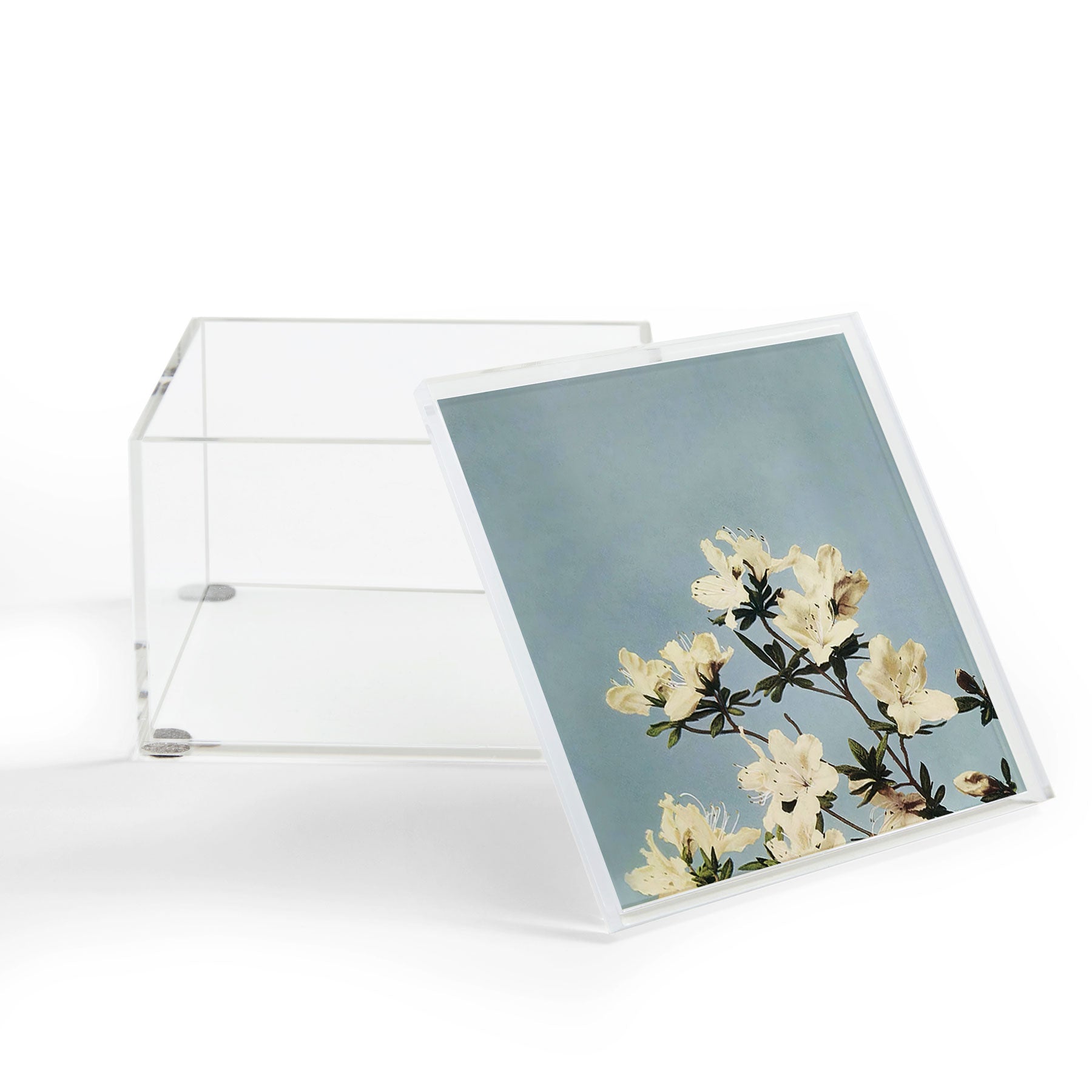 kazegami Japanese Azaleas Acrylic Box