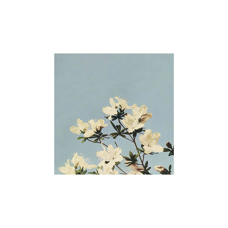 kazegami Japanese Azaleas Art Print