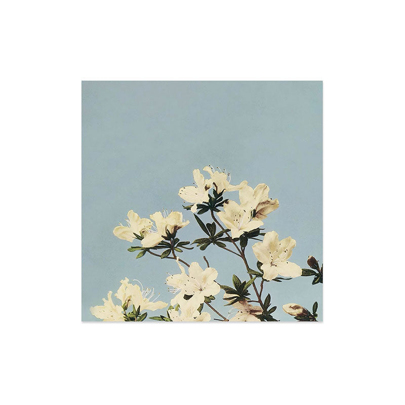 kazegami Japanese Azaleas Art Print
