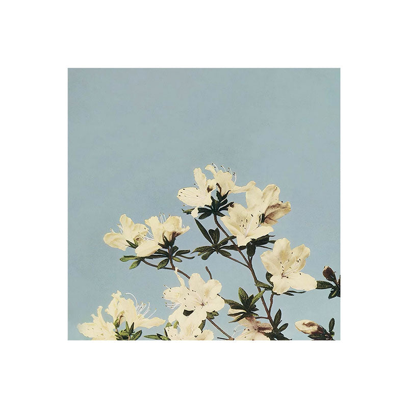 kazegami Japanese Azaleas Art Print