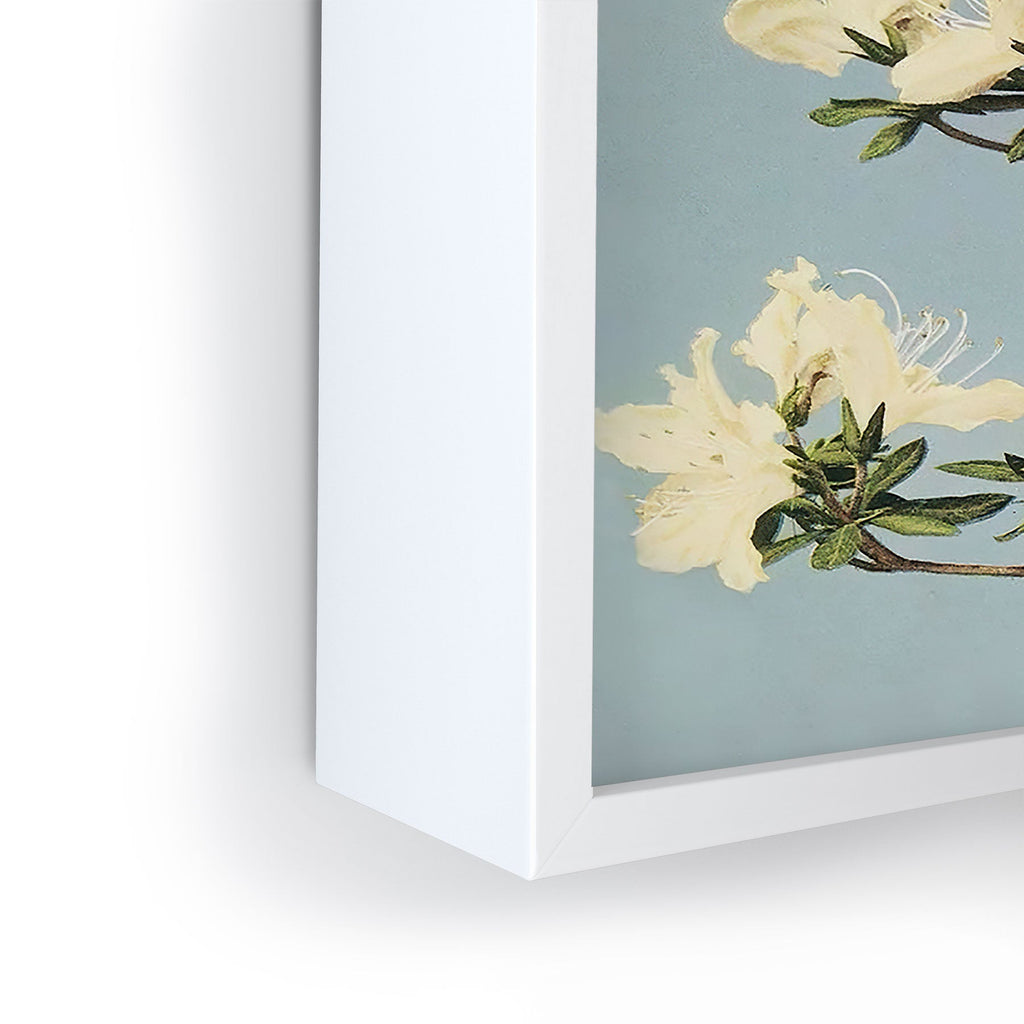 kazegami Japanese Azaleas Framed Mini Art Print
