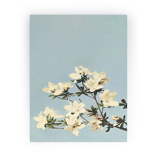 kazegami Japanese Azaleas Mini Art Print