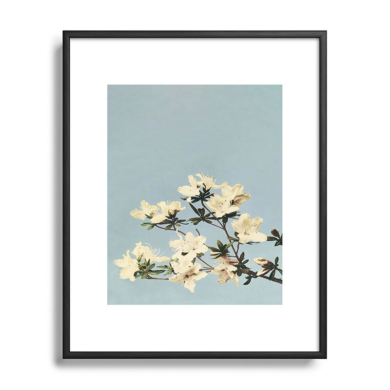 kazegami Japanese Azaleas Metal Framed Art Print