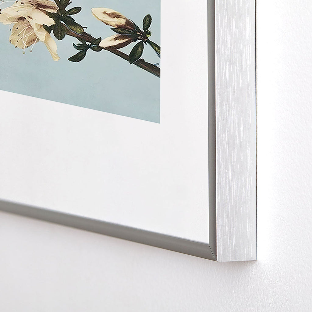kazegami Japanese Azaleas Metal Framed Art Print