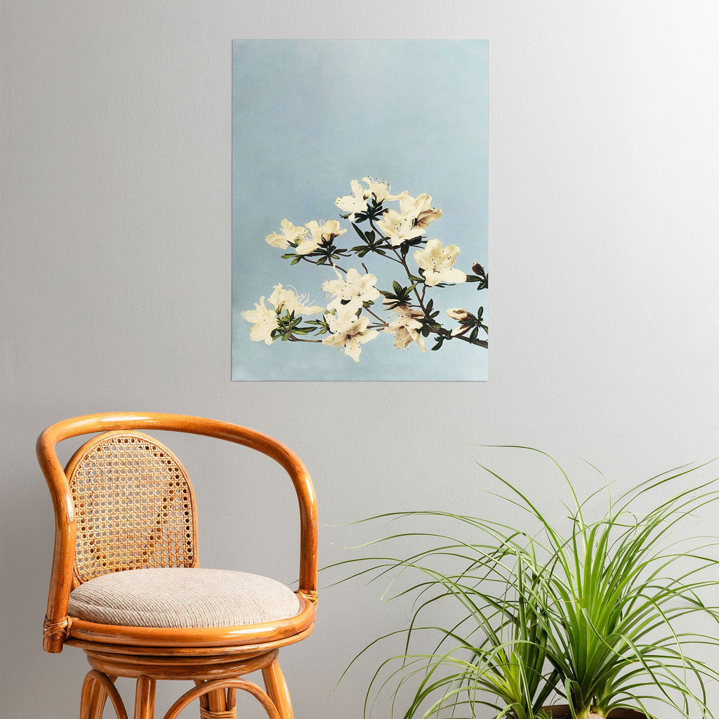 kazegami Japanese Azaleas Poster