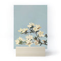 kazegami Japanese Azaleas Mini Art Print