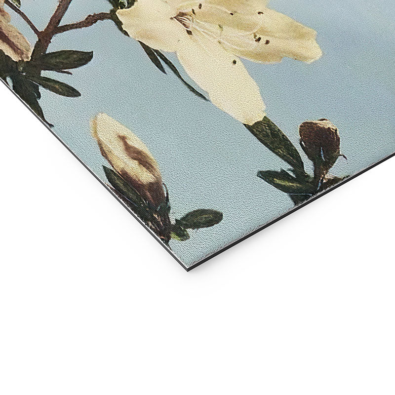 kazegami Japanese Azaleas Welcome Mat