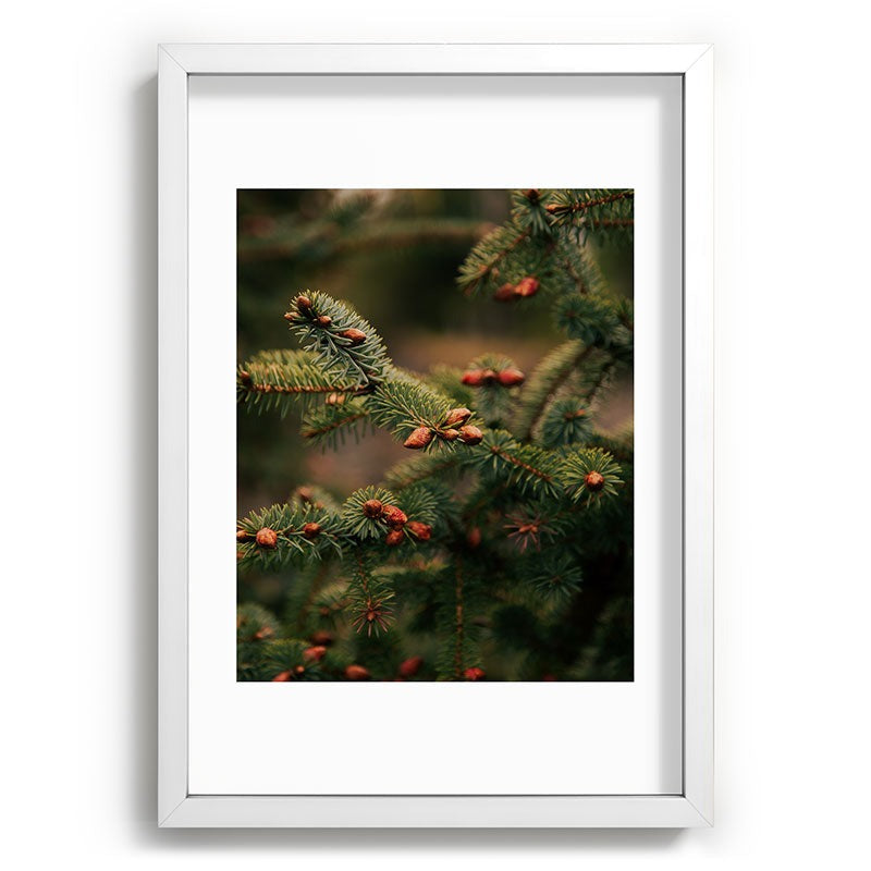 Hannah Kemp Spruce Tips Recessed Framing Rectangle