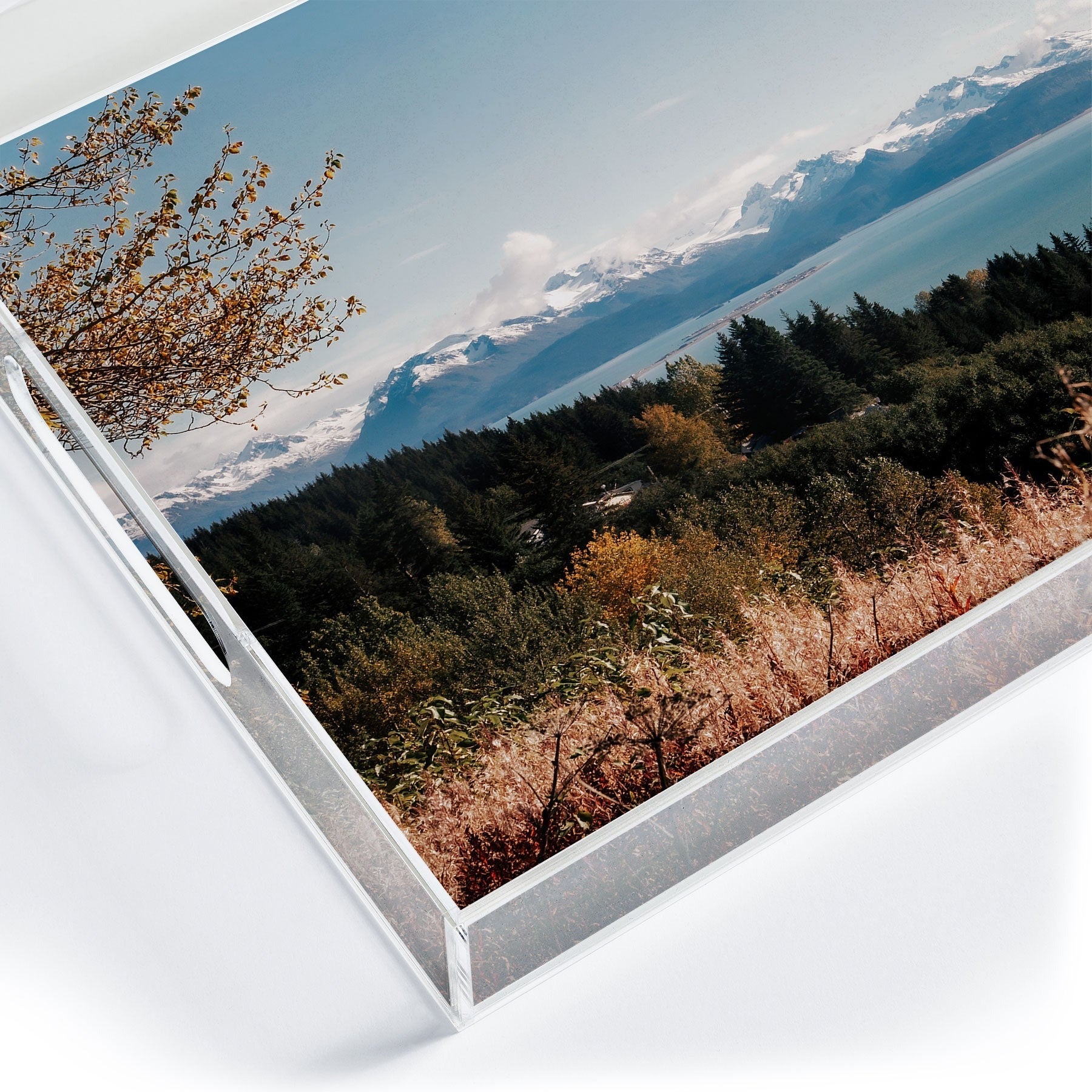 Hannah Kemp Homer Acrylic Tray