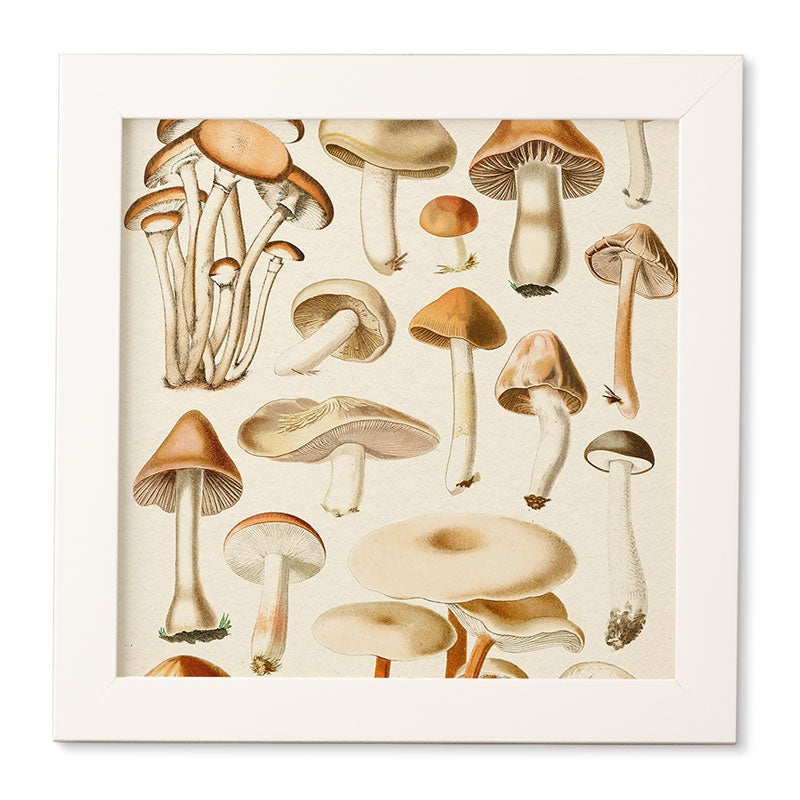 Gal Design Mushrooms Collection Framed Wall Art