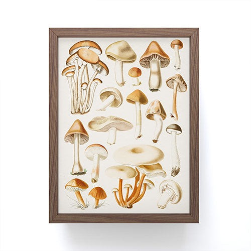 Gal Design Mushrooms Collection Framed Mini Art Print