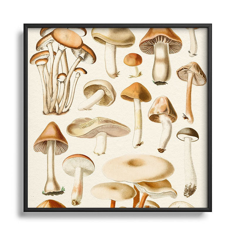 Gal Design Mushrooms Collection Square Metal Framed Art Print