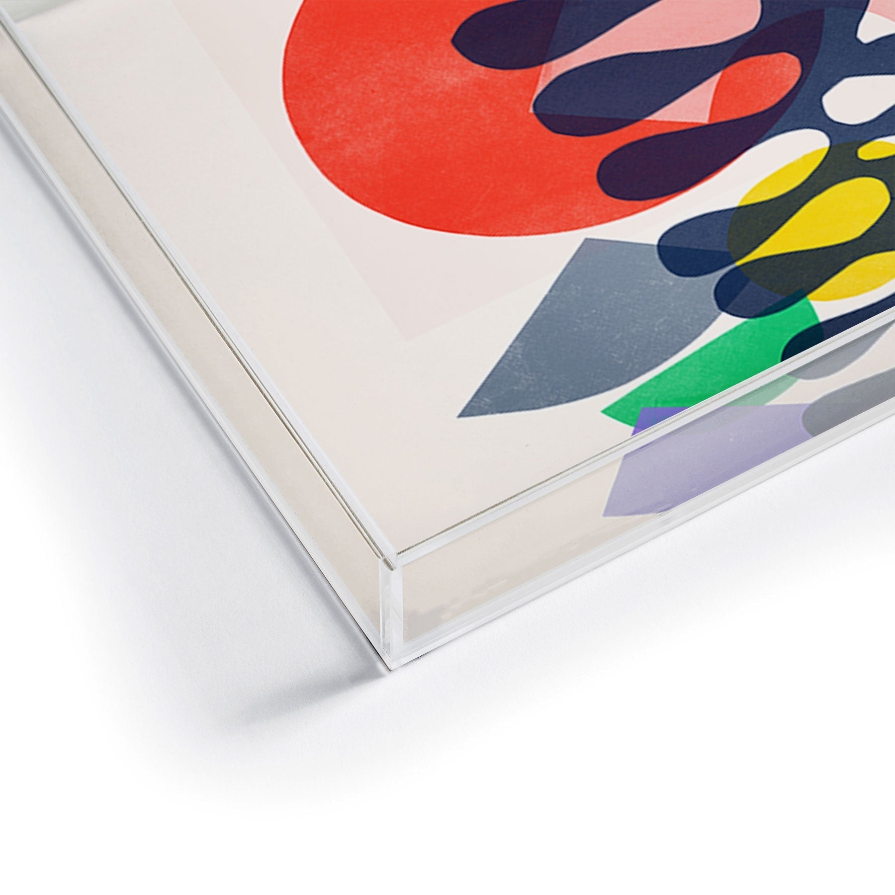 Garima Dhawan growing 1 Acrylic Tray