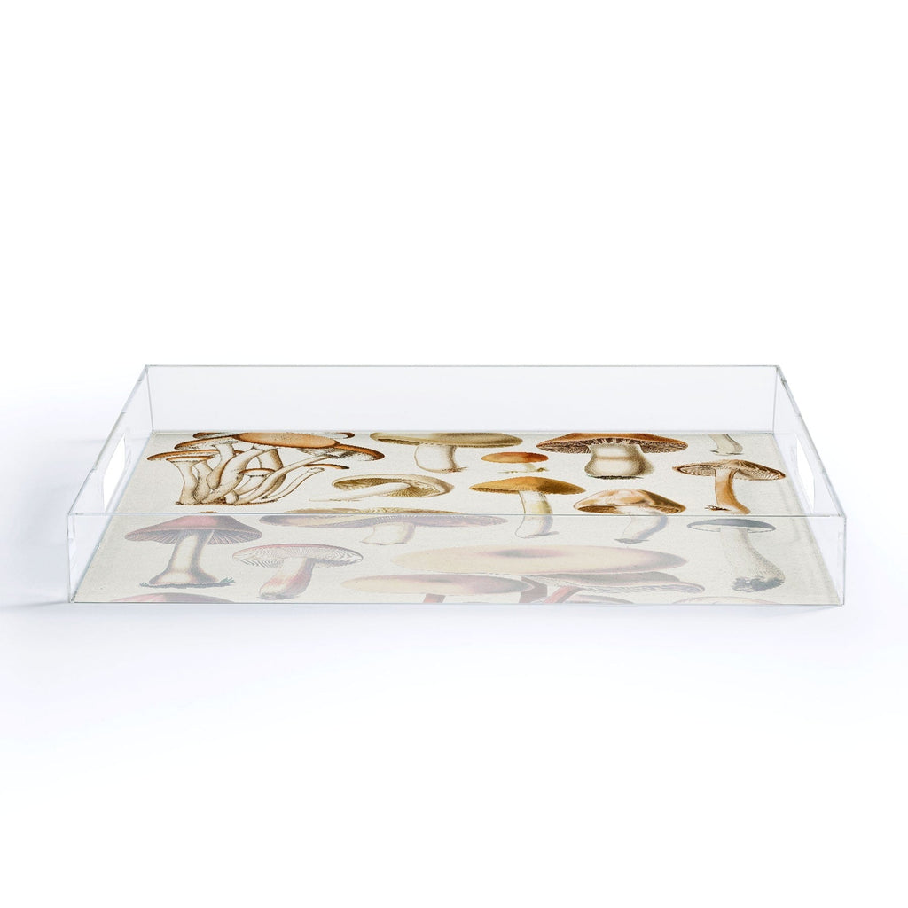 Gal Design Mushrooms Collection Acrylic Tray