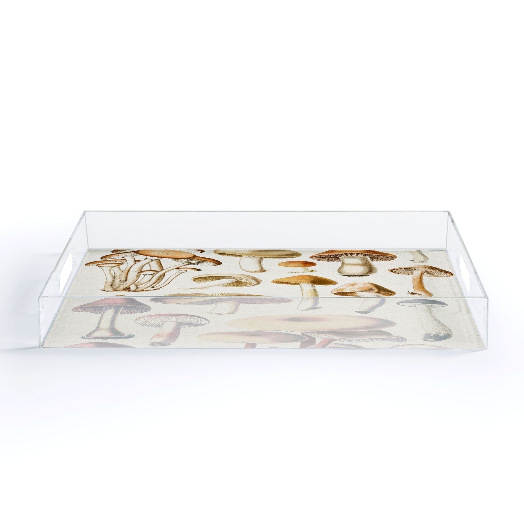 Gal Design Mushrooms Collection Acrylic Tray