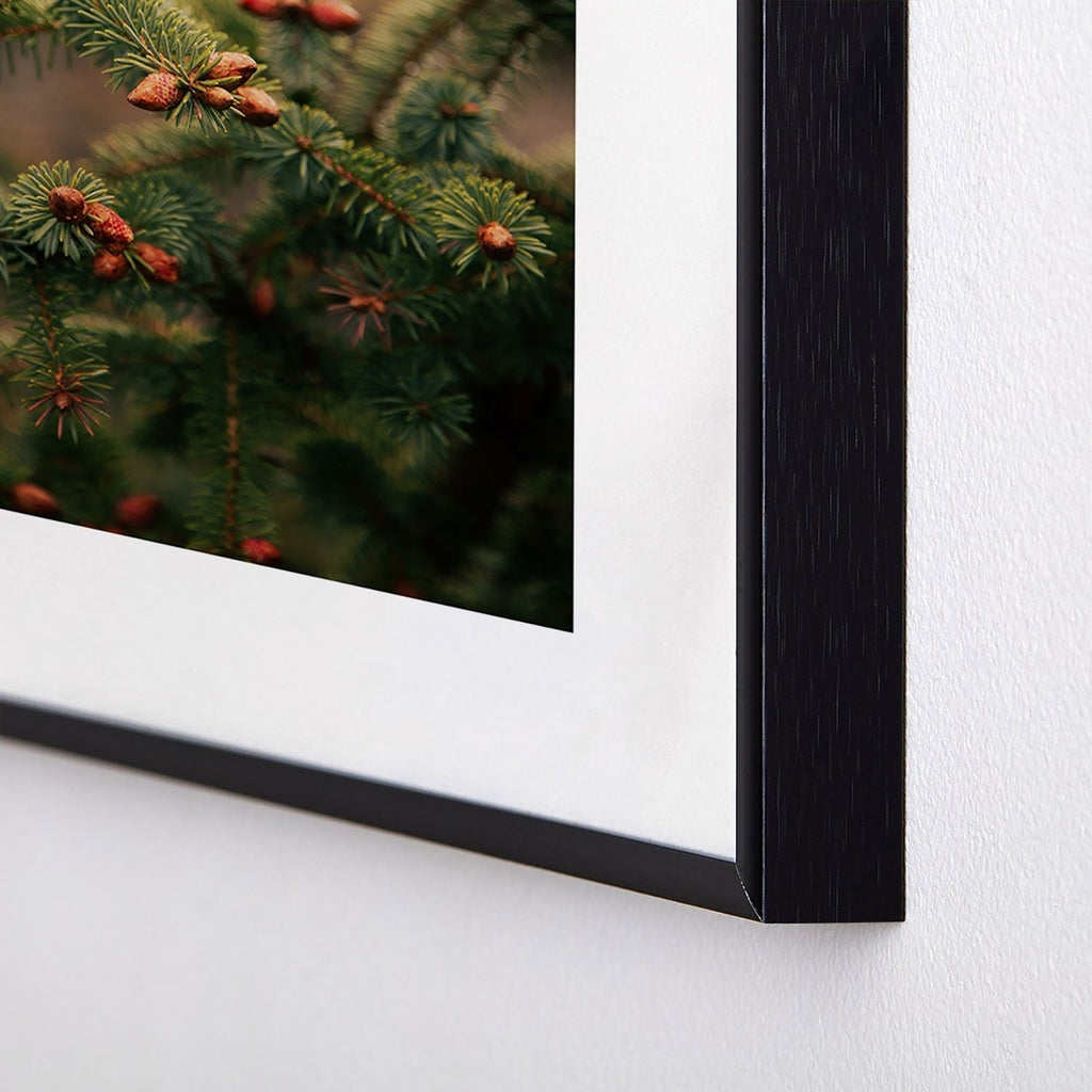 Hannah Kemp Spruce Tips Metal Framed Art Print