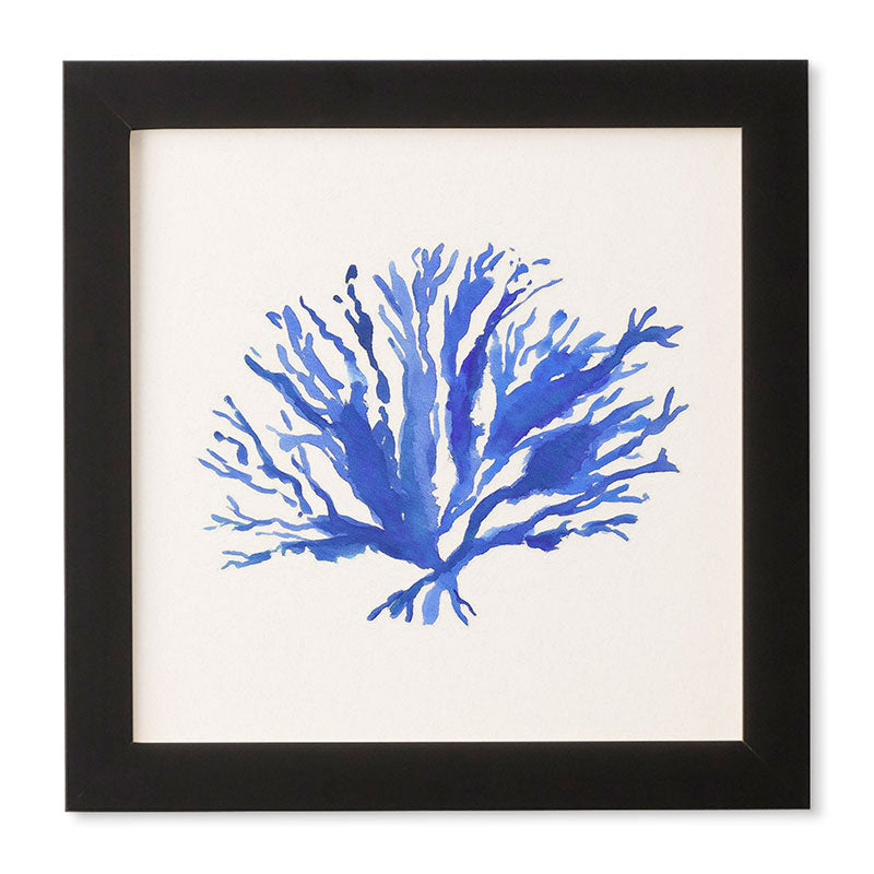 Laura Trevey Sea Coral Framed Wall Art