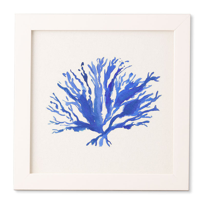 Laura Trevey Sea Coral Framed Wall Art
