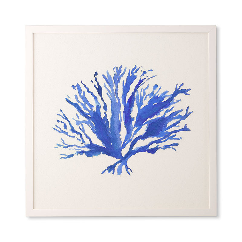 Laura Trevey Sea Coral Framed Wall Art
