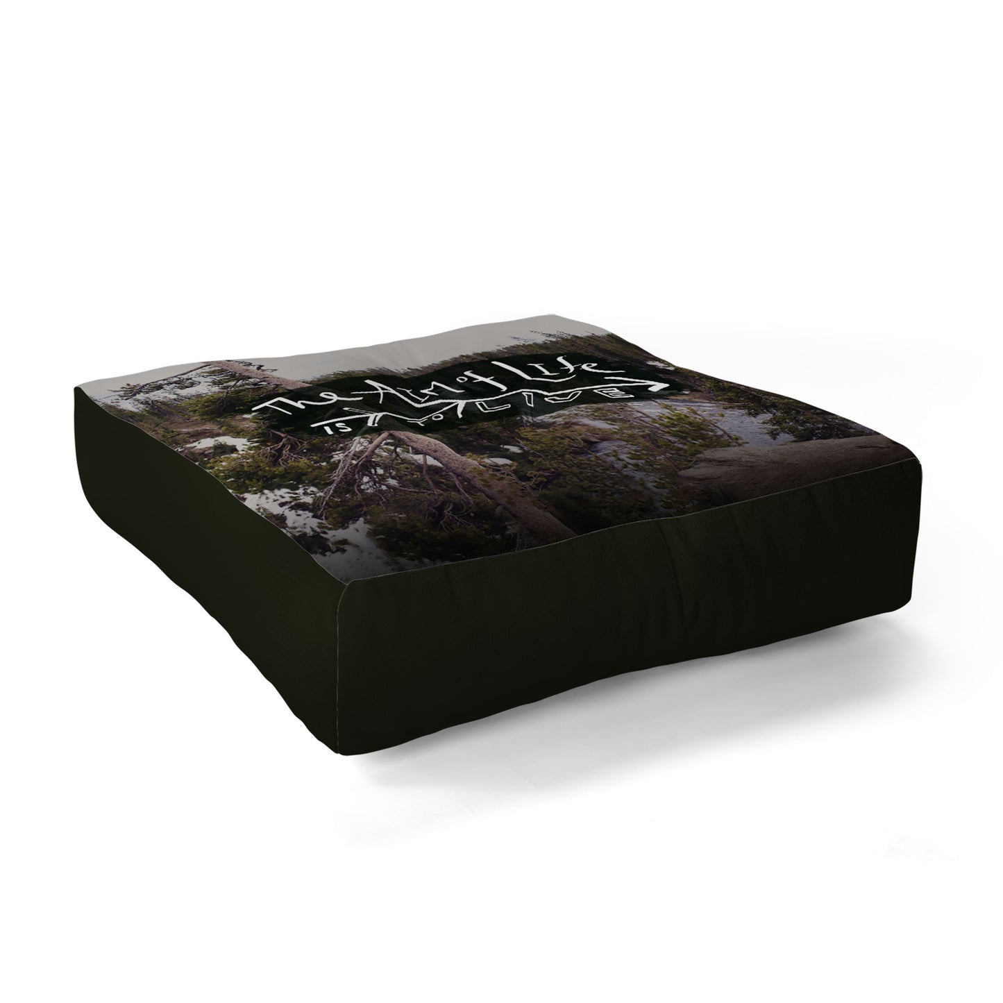 Leah Flores Aim Of Life X Wyoming Floor Pillow Square