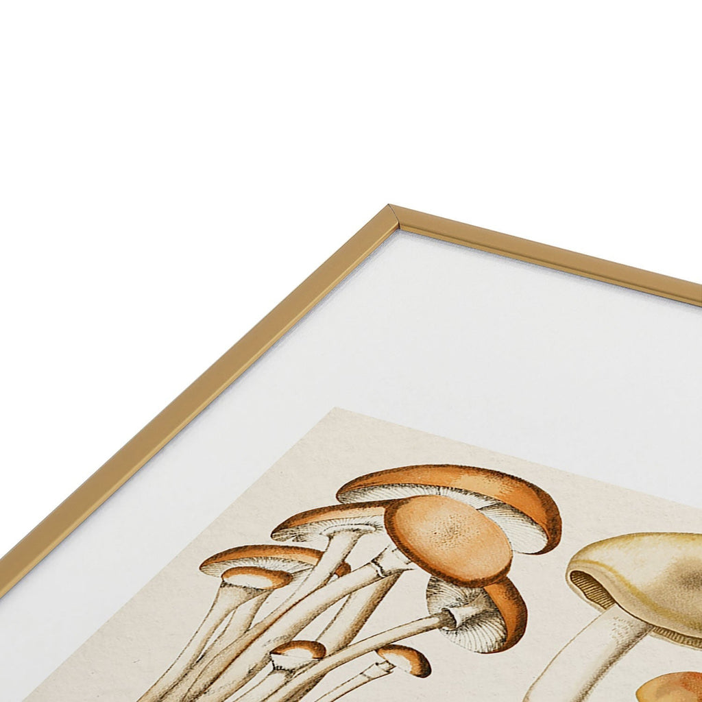 Gal Design Mushrooms Collection Metal Framed Art Print