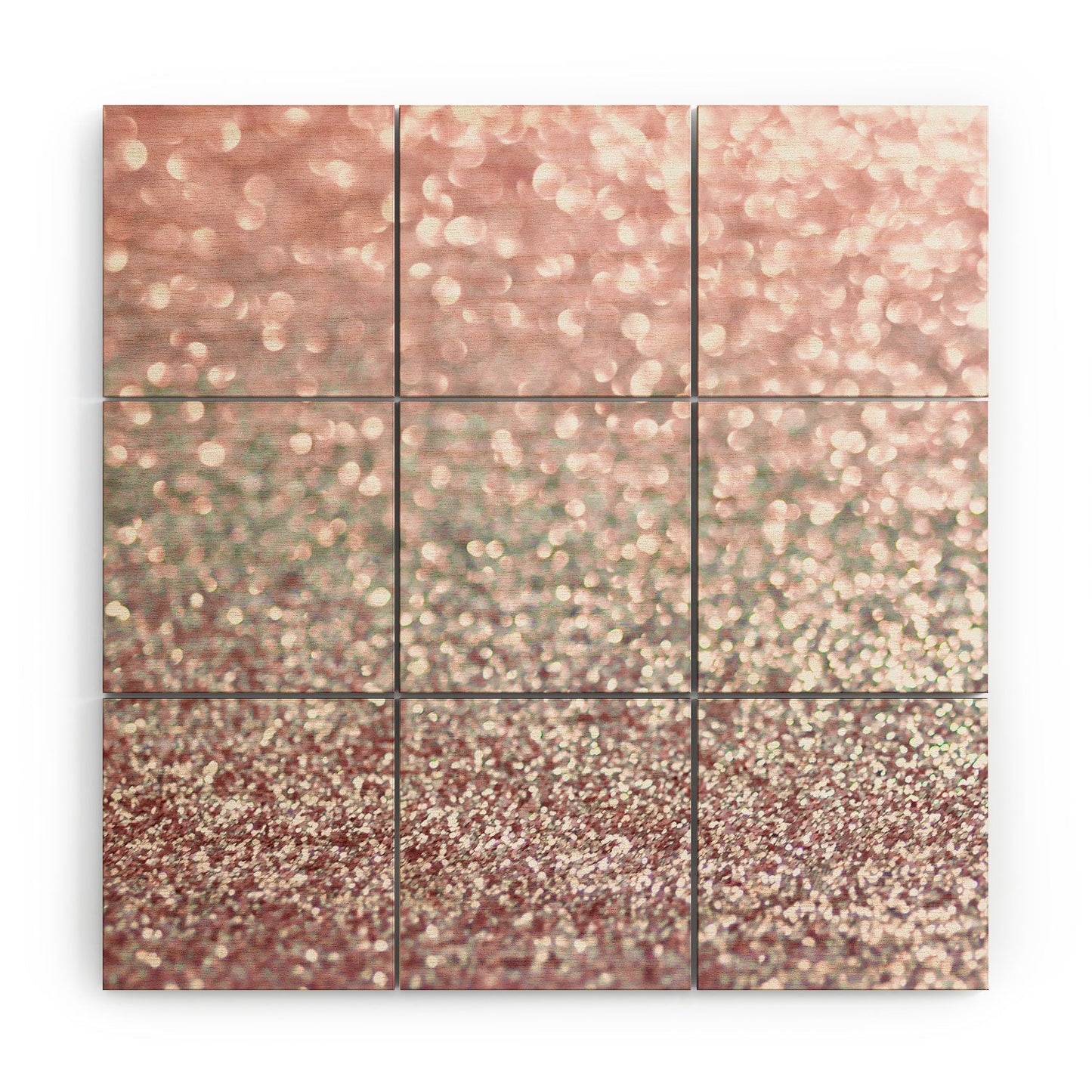 Lisa Argyropoulos Girly Pink Snowfall Wood Wall Mural