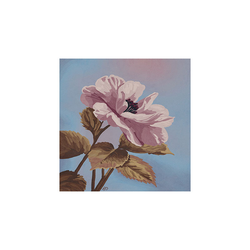 Lisa D Art Designs Vintage Begonia Botanical Art Print