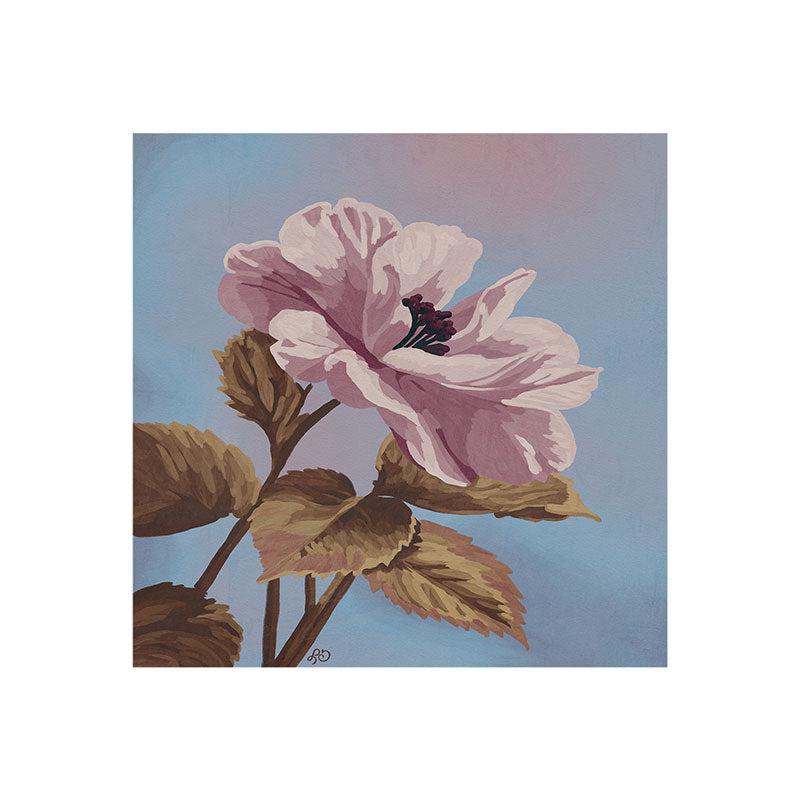 Lisa D Art Designs Vintage Begonia Botanical Art Print