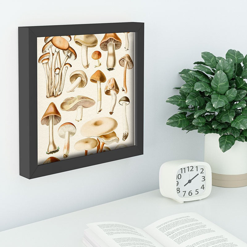 Gal Design Mushrooms Collection Recessed Framing Square