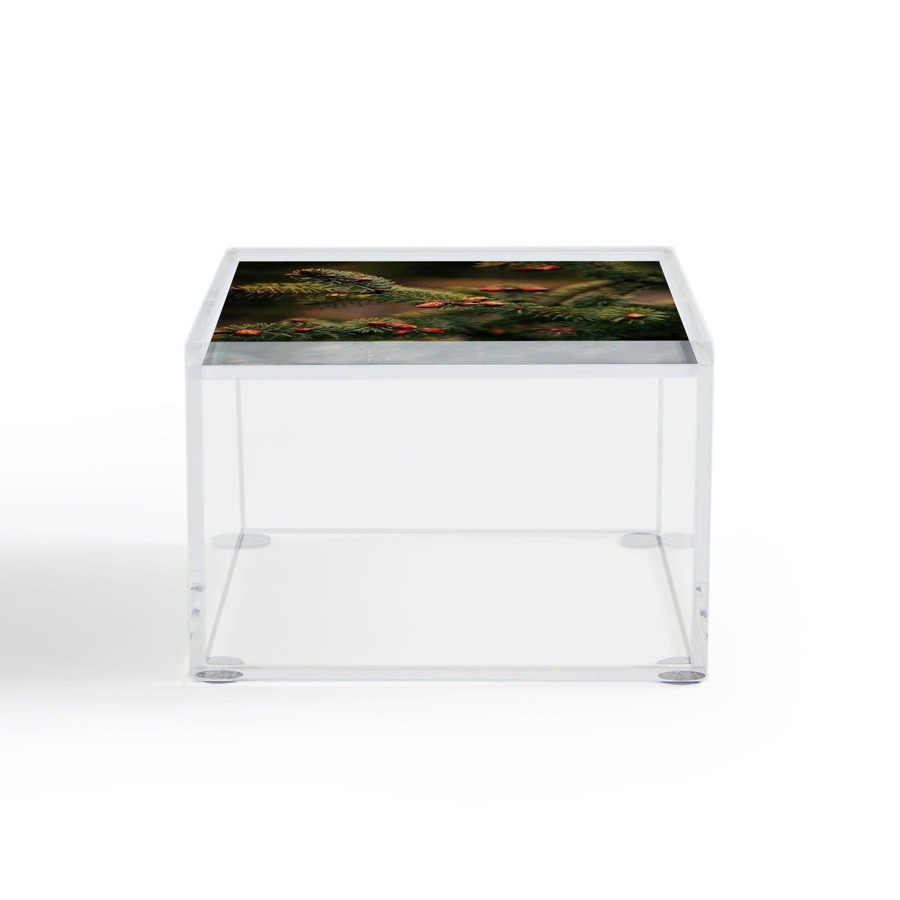 Hannah Kemp Spruce Tips Acrylic Box