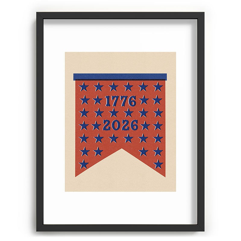 DENY Designs Star Banner Recessed Framing Rectangle