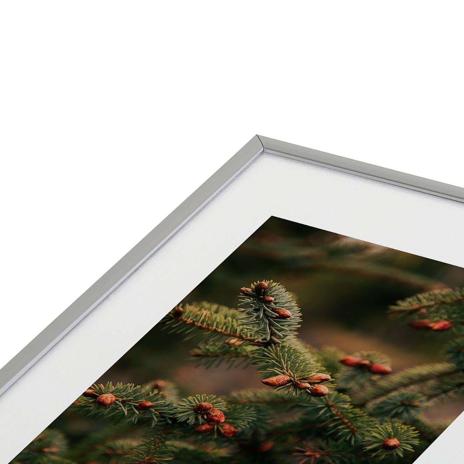 Hannah Kemp Spruce Tips Metal Framed Art Print