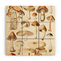 Gal Design Mushrooms Collection Wood Wall Mural