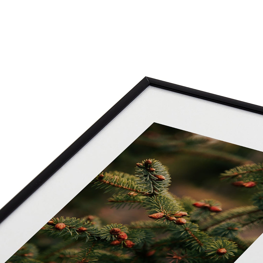 Hannah Kemp Spruce Tips Metal Framed Art Print