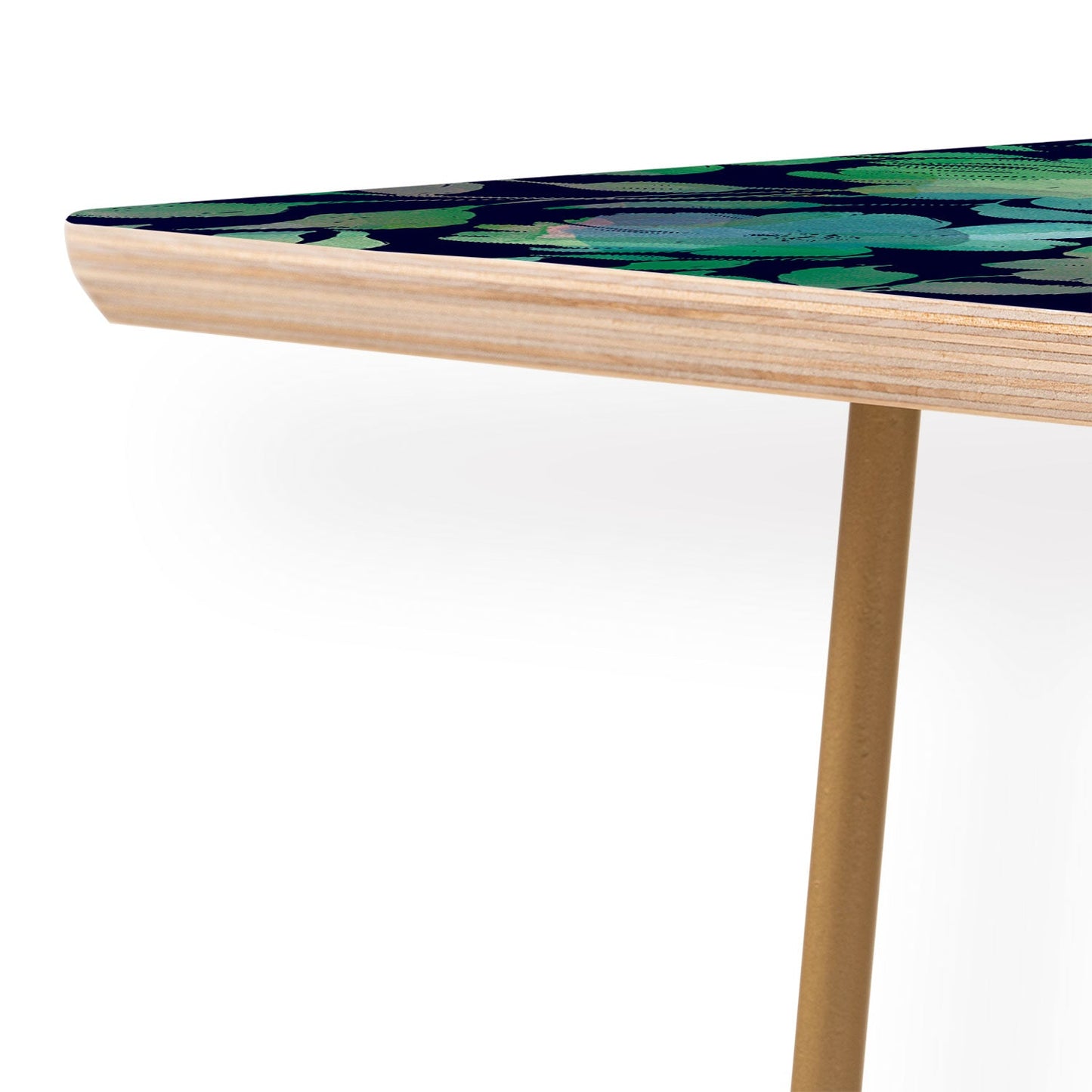 Marta Barragan Camarasa Lush Evening Botanicals Coffee Table