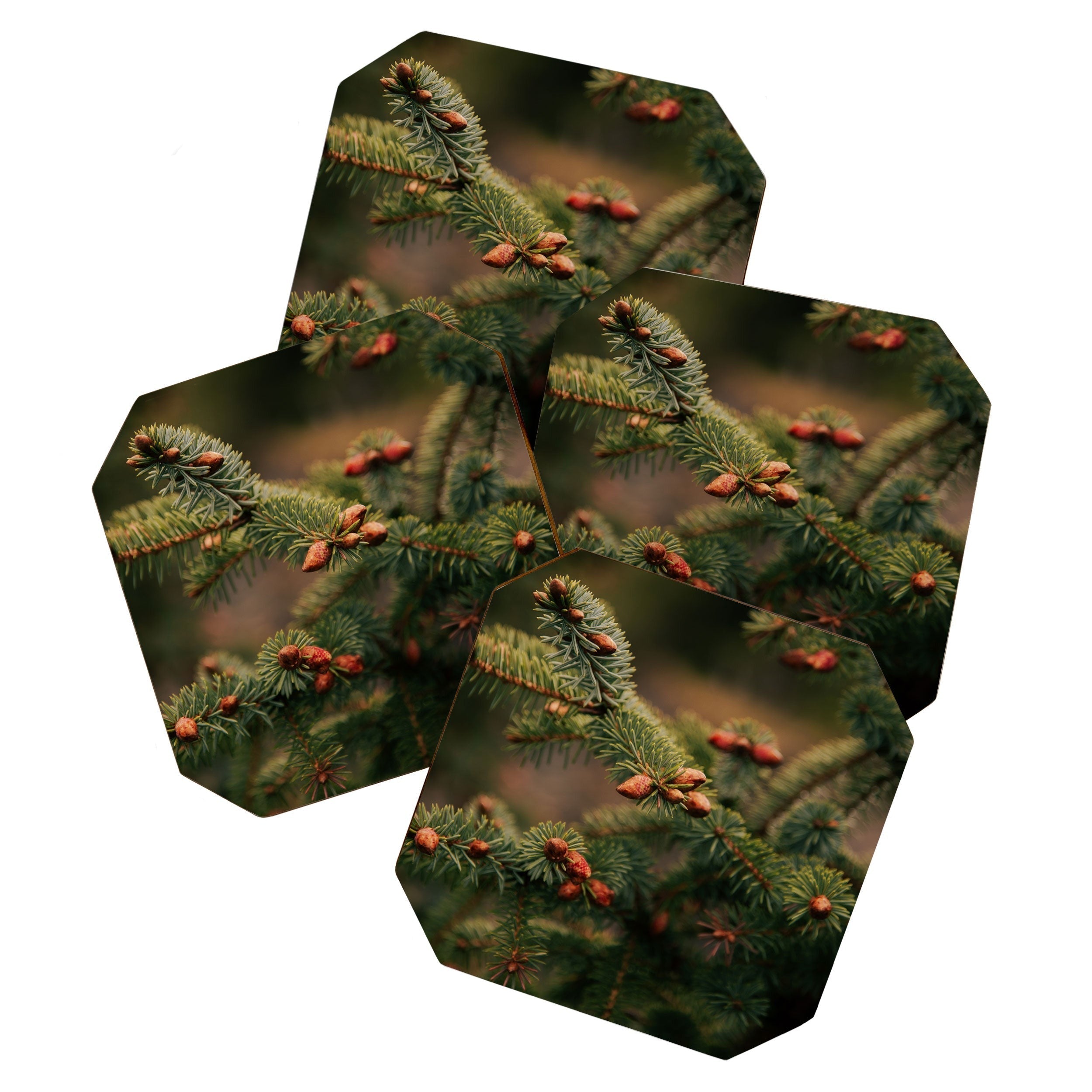 Hannah Kemp Spruce Tips Coaster Set