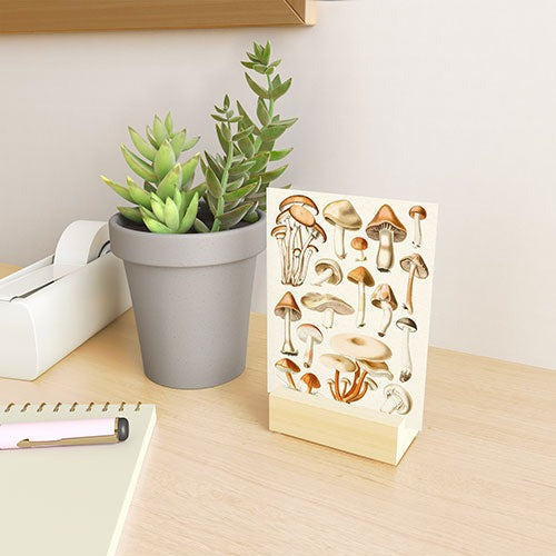 Gal Design Mushrooms Collection Mini Art Print