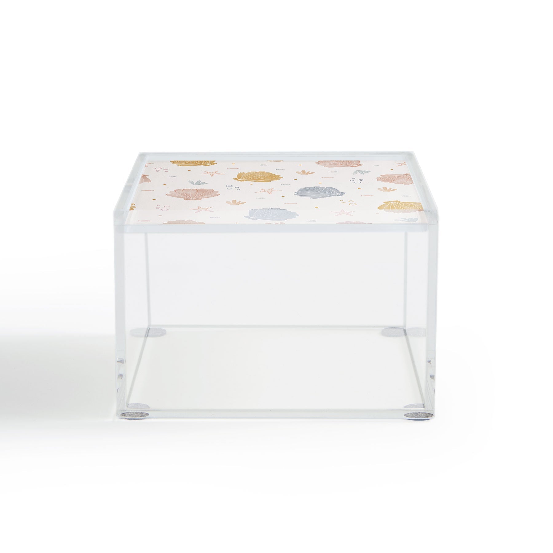 Menina Lisboa Shells and Starfish Acrylic Box