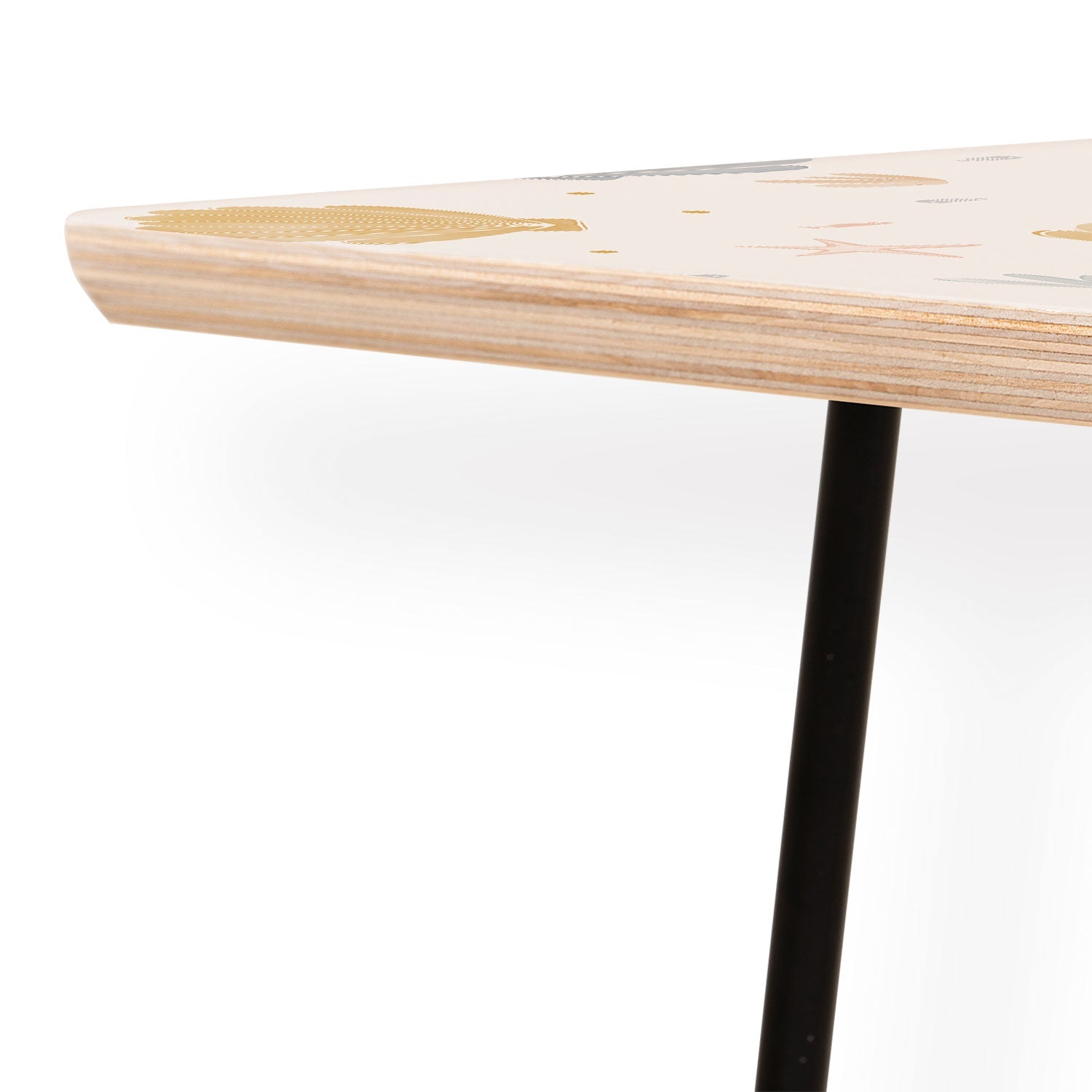 Menina Lisboa Shells and Starfish Coffee Table